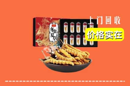 镇江京口区回收冬虫夏草