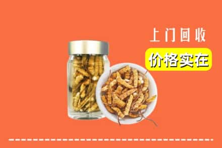 收购资讯:镇江京口区回收散虫草